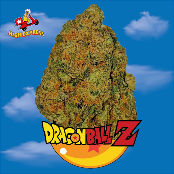 Dragon_Ball_Z_CBD DE PRESTIGE