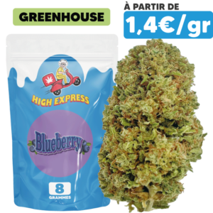 Fleur CBD Blueberry Exquise