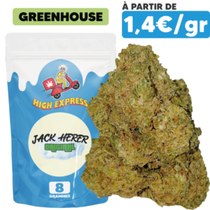 Fleur CBD Jack Herer Vibrante