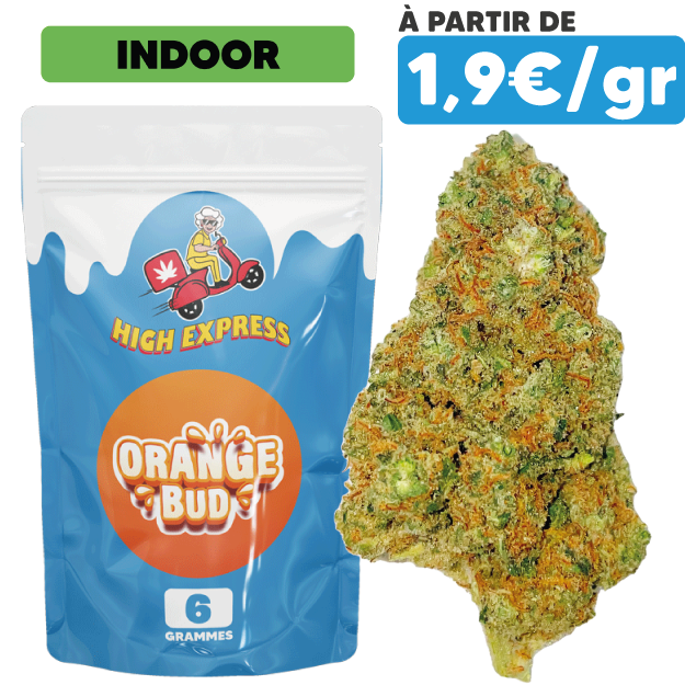 ORANGE-BUD-CBD INDOOR HAUTE QUALITE PAS CHER